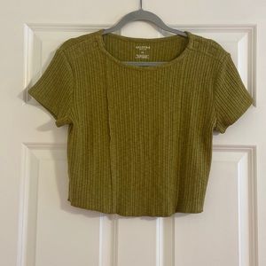 Arizona Jean Co Olive Knit Crop Top, Sz XL